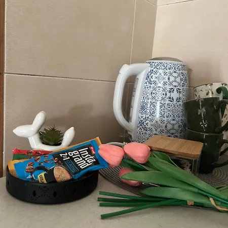 Ivana 2 Apartment Novi Sad